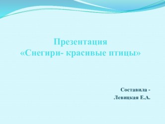 Презентация Снегири- красивые птицы презентация к уроку по окружающему миру (старшая группа)