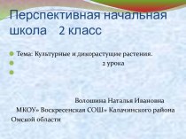 2 класс тема: Культурные и дикорастущие растения методическая разработка по окружающему миру (2 класс) по теме