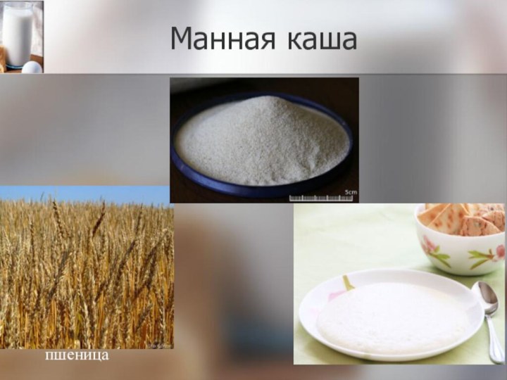 Манная кашапшеница