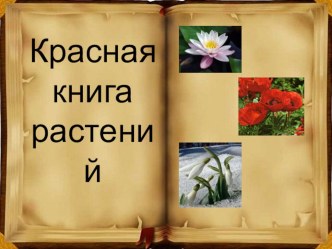 презентация Красная книга презентация к занятию по окружающему миру (подготовительная группа)