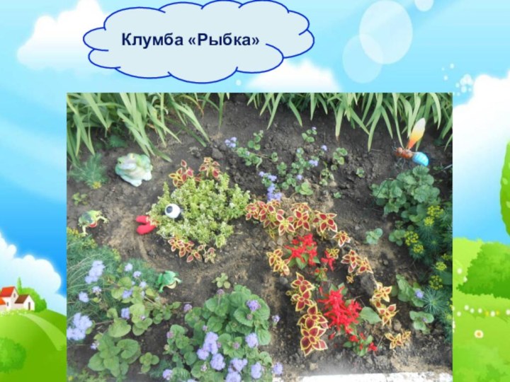 Клумба «Рыбка»