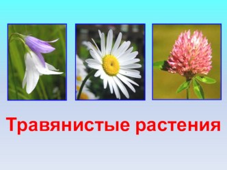 Урок окружающего мира Растения - часть живой природы план-конспект урока по окружающему миру (1 класс)