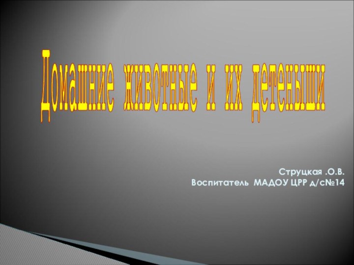 Домашние животные и их детеныши Струцкая .О.В. Воспитатель МАДОУ ЦРР д/с№14