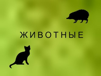 животные презентация к занятию по окружающему миру (средняя группа) по теме