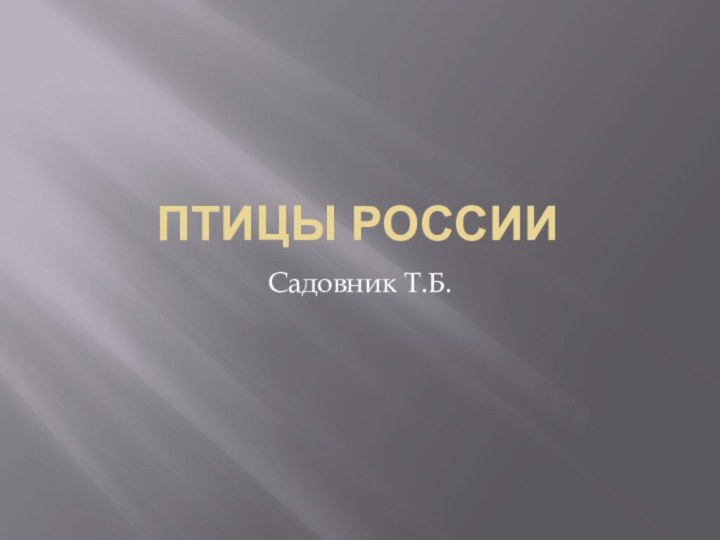 Птицы россииСадовник Т.Б.