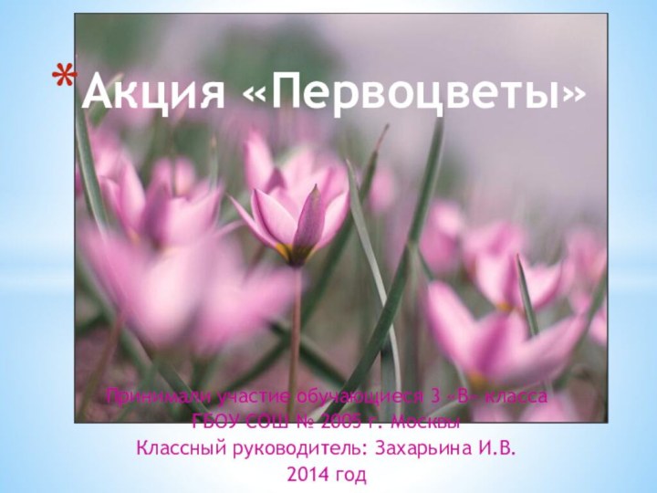 Принимали участие обучающиеся 3 «В» классаГБОУ СОШ № 2005 г. МосквыКлассный руководитель: Захарьина И.В.2014 годАкция «Первоцветы»