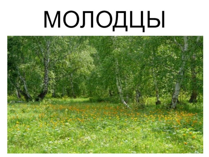 МОЛОДЦЫ