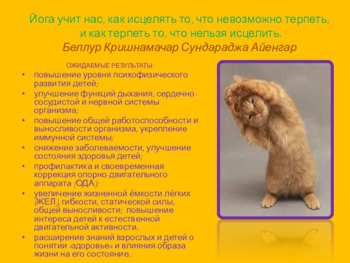 Йога учит нас, как исцелять то, что невозможно терпеть,  и как