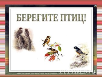 Открытый классный час Праздник птиц 4 класс. презентация к уроку (4 класс)