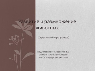 Презентация к уроку окружающего мира в 3 классе Развитие и размножение животных презентация к уроку по окружающему миру (3 класс)