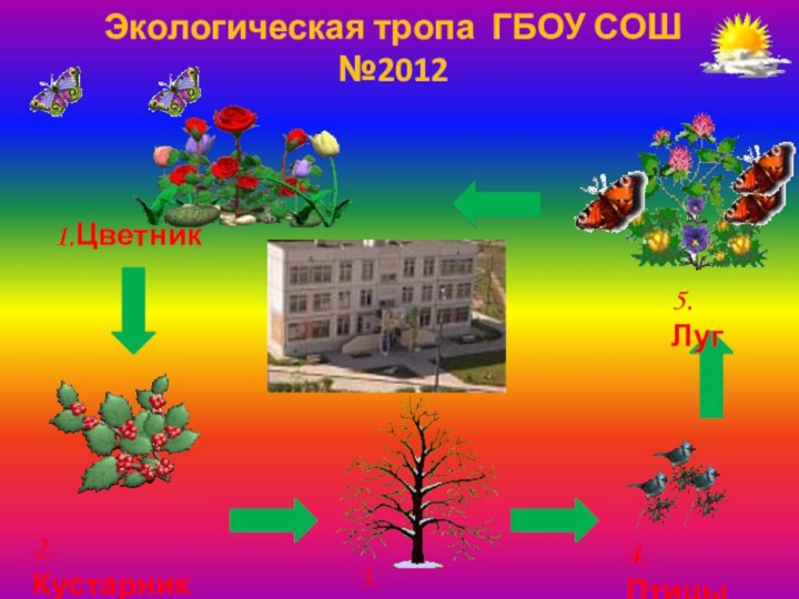 Экологическая тропа ГБОУ СОШ №20121.Цветник