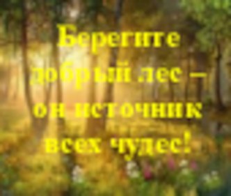 Презентация Берегите длобрый лес - он источник всех чудес презентация к занятию по окружающему миру (подготовительная группа)