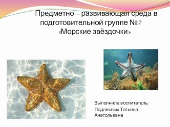 Предметно - развивающая среда в подготовительной группе презентация к уроку (подготовительная группа)