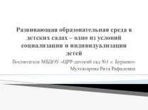 Развивающая образовательная среда в детских садах – одно из условий социализации и индивидуализации детей презентация