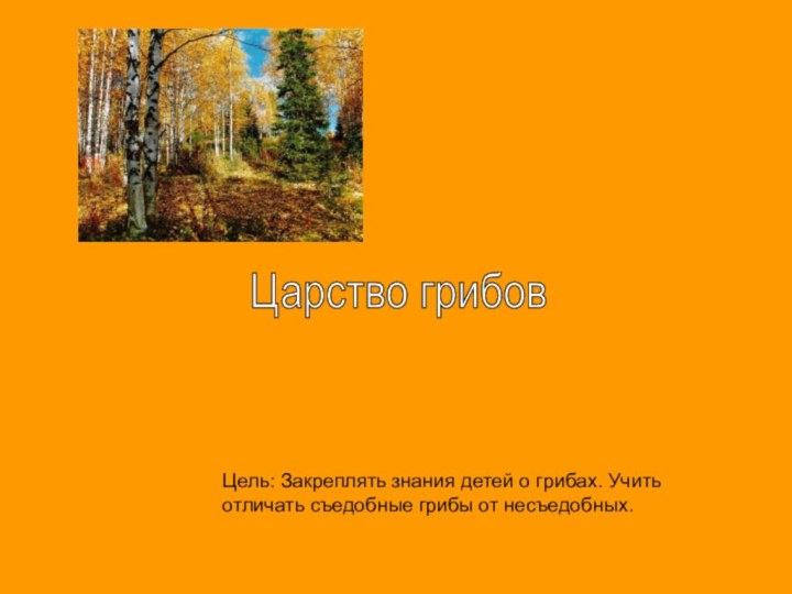 Царство грибовЦель: Закреплять знания детей о грибах. Учить отличать съедобные грибы от несъедобных.