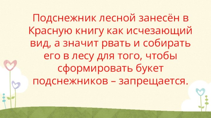 Подснежник лесной занесён в Красную книгу как исчезающий вид, а значит рвать