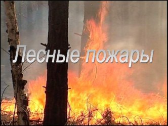 Разработка внеурочного мероприятия для 1 класса : Лесные пожары. методическая разработка (1 класс) по теме