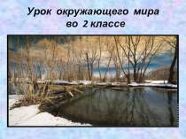 Урок окружающего мира во 2 классе Насекомые весной методическая разработка по окружающему миру (2 класс)