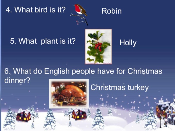 4. What bird is it?5. What plant is it?6. What do English