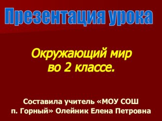 урок окружающий мир во 2 классе Н Ф Виноградовой по теме Насекомые леса материал (окружающий мир, 2 класс) по теме