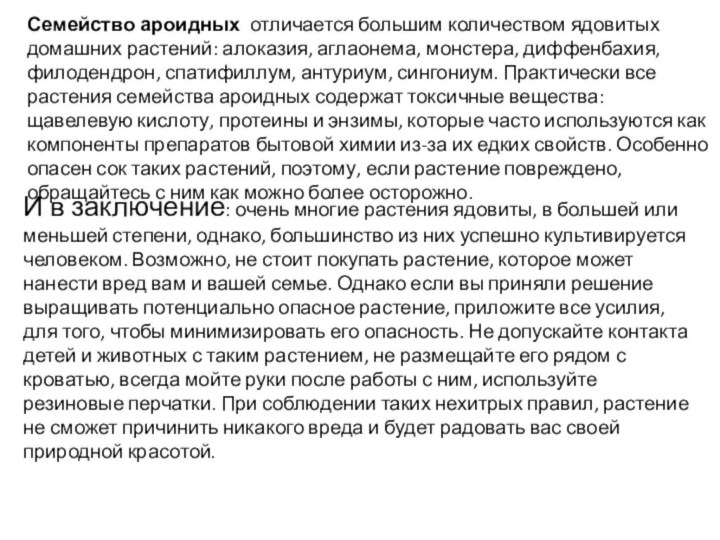 Семейство ароидных  отличается большим количеством ядовитых домашних растений: алоказия, аглаонема, монстера, диффенбахия,