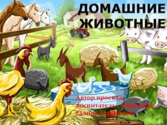 Домашние животные проект