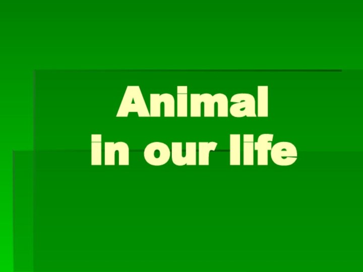 Animal  in our life