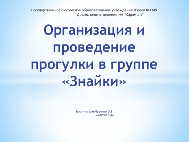 Государственное бюджетное образовательное учреждение Школа №1349              