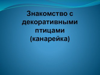 Знакомство с декоративными птицами презентация к уроку по окружающему миру (средняя группа)