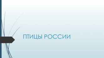 Презентация Птицы России презентация к уроку по окружающему миру (подготовительная группа)