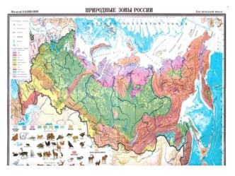 комплексное итоговое занятие Путешествие по тундре план-конспект занятия по окружающему миру (подготовительная группа)