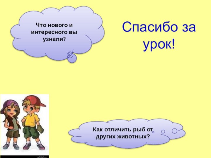 Спасибо за урок!Что нового и интересного вы узнали?Как отличить рыб от других животных?