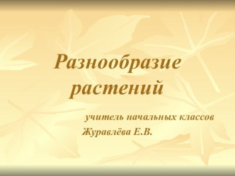 презентация разнообразие растений презентация к уроку по окружающему миру (2 класс)