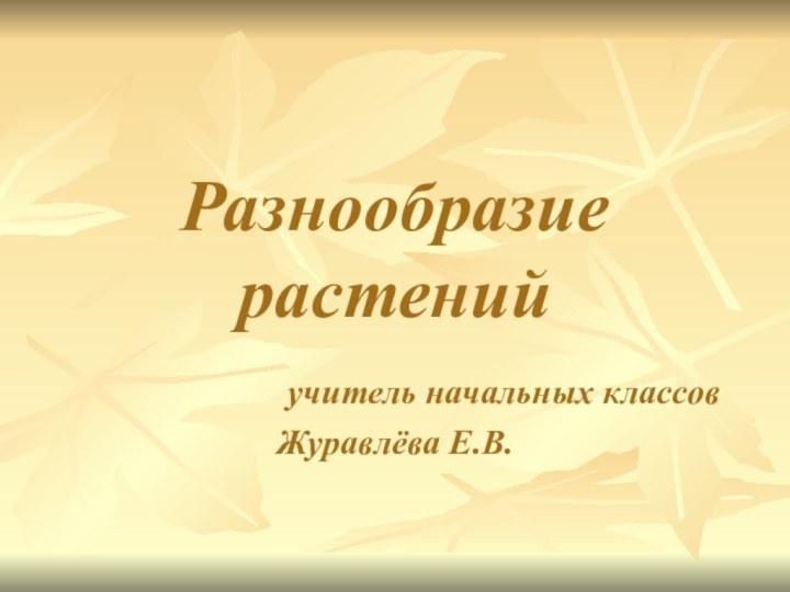 Разнообразие растений       учитель начальных классов Журавлёва