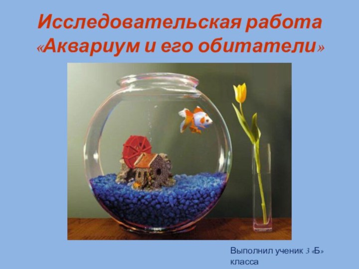 Исследовательская работа «Аквариум и его обитатели»Выполнил ученик 3 «Б» классаГрошев Илья