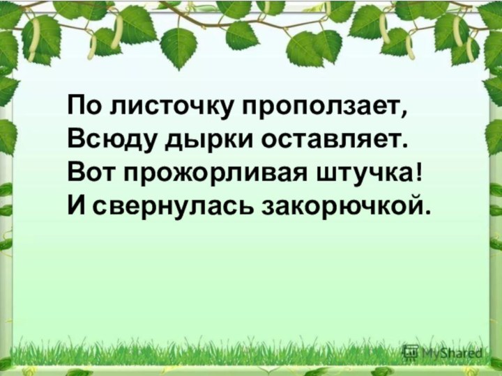 По листочку проползает,Всюду дырки оставляет.Вот прожорливая штучка!И свернулась закорючкой.