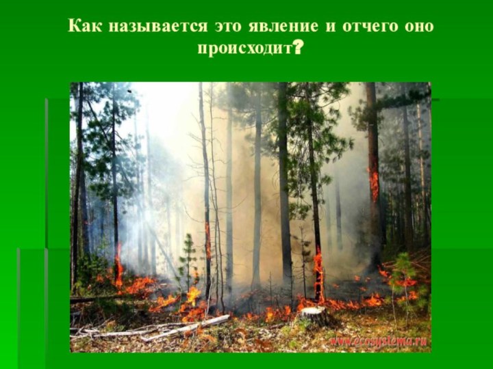 Как называется это явление и отчего оно происходит?