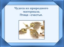 Презентация. Работа с природным материалом. Птица-счастья. презентация к уроку по технологии (1, 2, 3, 4 класс)