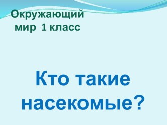 Урок Кто такие насекомые? план-конспект урока по окружающему миру (1 класс)