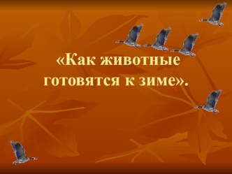 Как животные готовятся к зиме (презентация) презентация к уроку по окружающему миру (1 класс)