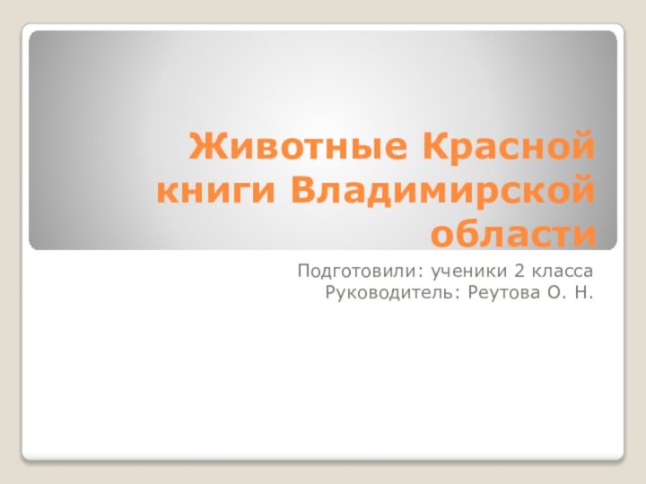 Животные Красной книги Владимирской областиПодготовили: ученики 2 классаРуководитель: Реутова О. Н.