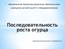 Презентация Последовательность роста огурца презентация к уроку по окружающему миру (средняя группа)