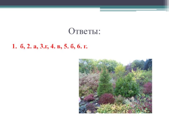 Ответы:1. б, 2. а, 3.г, 4. в, 5. б, 6. г.