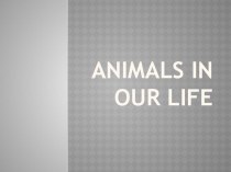 Animals in our Life презентация к уроку по иностранному языку (4 класс) по теме