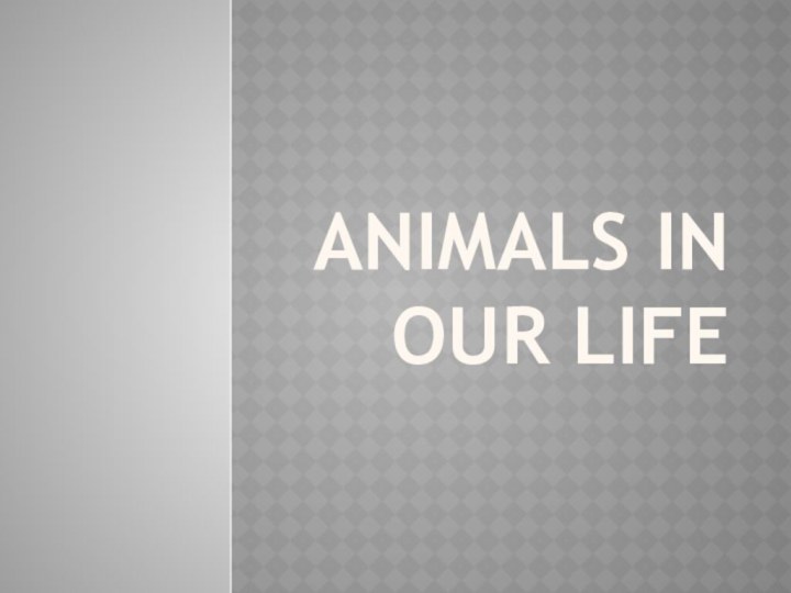 Animals in our life