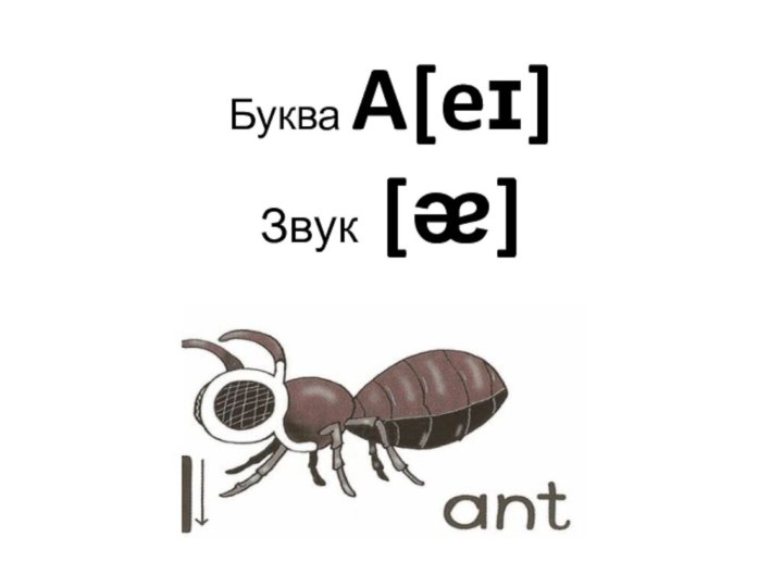 Буква A[eɪ]  Звук [ᴂ]