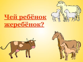 Интерактивные загадки Чей ребёнок жеребёнок? презентация к уроку по окружающему миру (младшая, средняя группа)