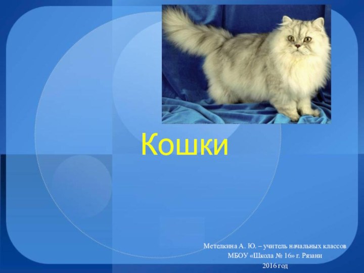 КошкиМетелкина А. Ю. – учитель начальных классовМБОУ «Школа № 16» г. Рязани2016 год