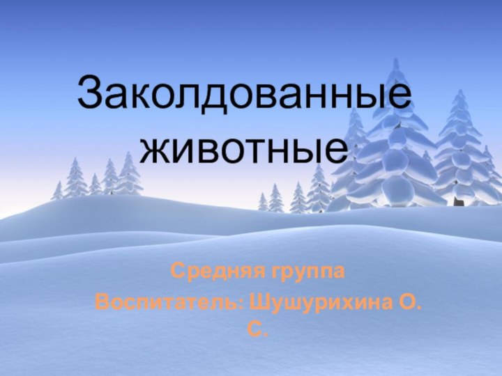 Заколдованные животныеСредняя группаВоспитатель: Шушурихина О.С.