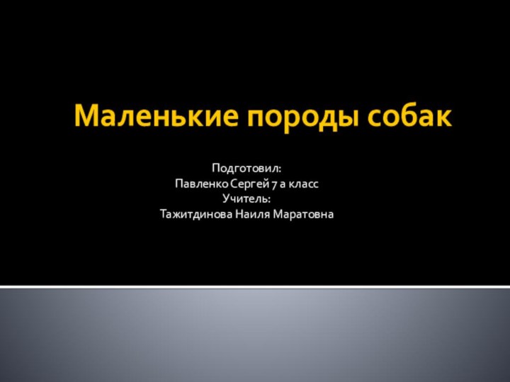 Маленькие породы собакПодготовил:Павленко Сергей 7 а классУчитель:Тажитдинова Наиля Маратовна